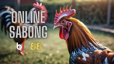 sabong nation|sabong nation net.